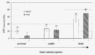 Recovery Of Nlac And Yd1 In Segments Of The Small Intestines - Diagram #6462376