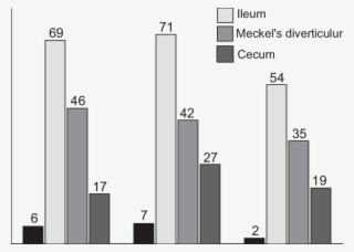 Percentage Of Birds That Had Pathology In The Following - Diagram #6462493