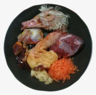 Barf - Scampi #6462563