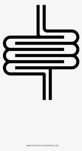 Intestine Coloring Page - Line Art #6462655