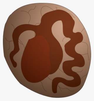 Barf, Boss, Deserve, Elect, Hole, Sack - Circle #6462751