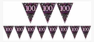 Pink Sparkling Celebration 100 Prismatic Pennant Banner #6465847