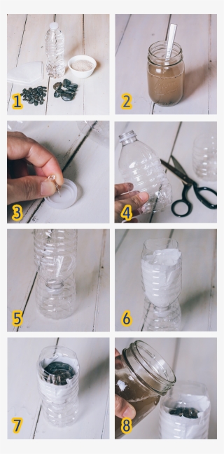 Make Your Own Mini Water Filter To See Dirty Water - Craft #6466786