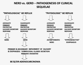 Despite Pathological Gastroesophageal Reflux, Patients - Gerd Vs Nerd #6467532
