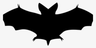 Black Bat No Background #6469265 Black Bat No Background #6469265