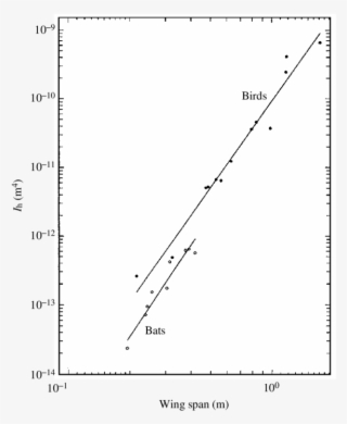 Second Moment Of Area Of The Proximal End Of The Humerus - Diagram #6469741