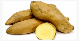 Sweet Potato - Patate Blanche Douce #6474099