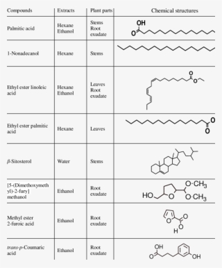 Compounds Detected From Different Parts Of Sweet Potato - Potato #6474303