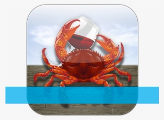 Newport, Or Seafood & Wine Festival - Oregon #6477042