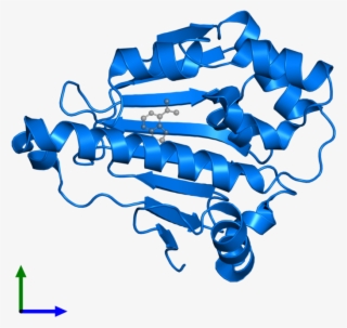 <div Class='caption-body'>pdb Entry 4fcp Contains 1 - Graphic Design #6478363