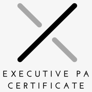 Most Popular Posts - Bat-and-ball Games #6479101