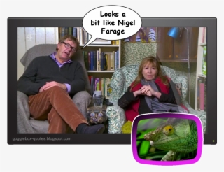 Hashtag On Twitter - Carolina Anole #6480739