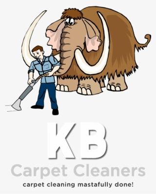 Carpet Cleaners #6481402