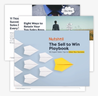 Ready To See Nutshell In Action #6483073