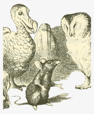 Spotlight On Wonderland - Alice, Maus Und Vögel Gepäckanhänger #6483603