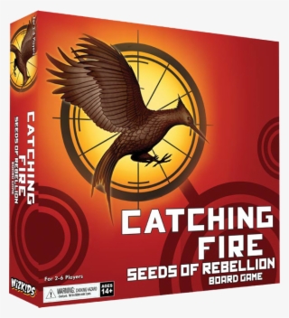 Catching Fire #6483832