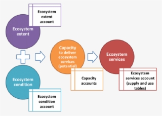 The Place Of Ecosystem Condition Accounts In A Natural - Define Capital Natural #6483991