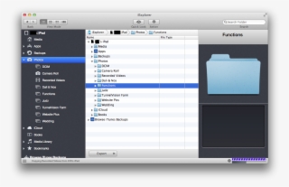 Behold The Tree Structure Here's An Example Of Ripping - Macos #6484159