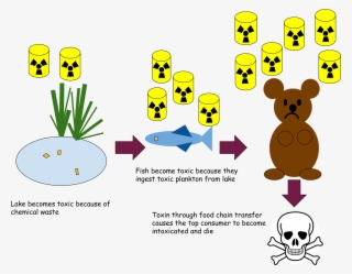 Open - Wear Your Seat Belt Throw Blanket #6484496