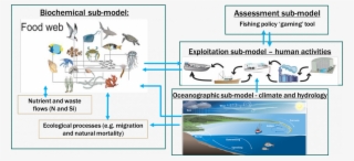 Data Integration Tool That Allows Users To Assess The - Atlantis Ecosystem Model #6484609