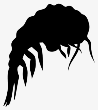 Unparalleled Quality - Plankton Silhouette #6485248