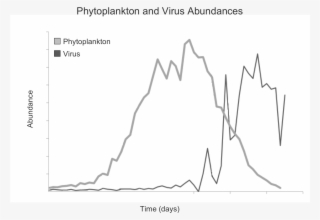Phytoplankton And Virus Abundance - Diagram #6485599