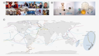 Oceans Plankton Planet Logo Pictures Png Oceans Plankton - Atlas #6486030