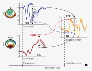 Rlwm Figure - Neural Computation #6486742