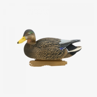 Mallard Png Image - Avery Ghg Hybrid Black Duck / Active Pack - 73166 #6486744