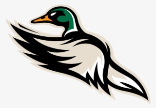 Download - Quad City Mallards Logo #6486794