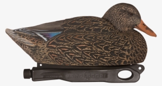 Rugged Magnum Mallard Hen Floater - Mallard #6487590