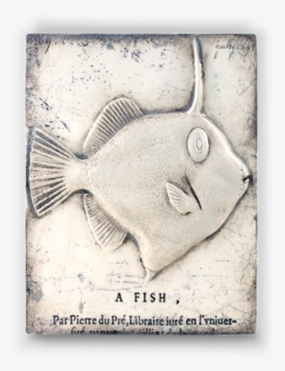 T-382 “curiosity” - Sea #6490459