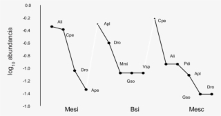 Curvas De Rango-abundancia Del Ensamblaje De Murciélagos - Diagram #6491487