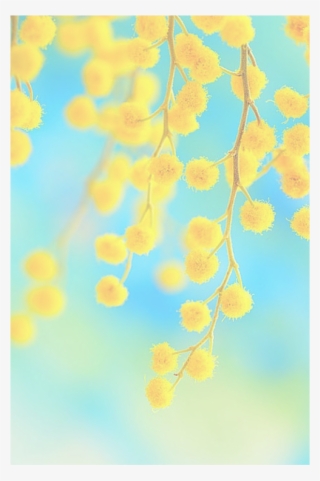 에밀리 On Twitter #6497272 에밀리 On Twitter #6497272