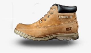 Check The Cat Page At Ebates For Exclusive Coupons #6498108