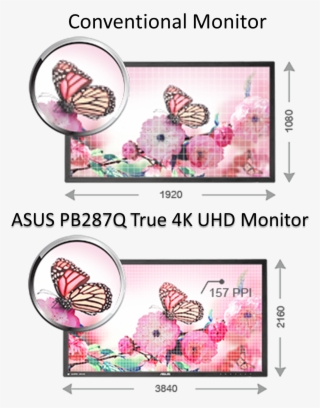 Impeccable 4k Ultra-high Definition Visuals #6499166