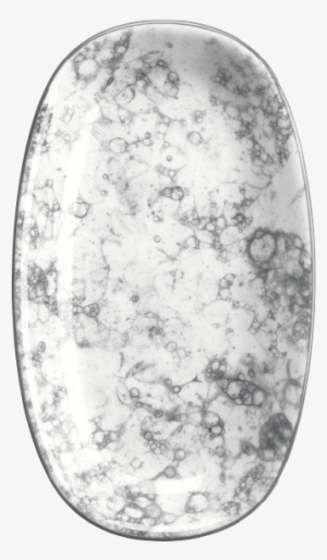 Rocks Black Gourmet Oval Plate 15×8 - Rbr Grm 01 Stb Bonna #650077