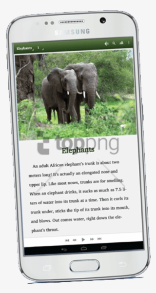 Supplying And Maintaining Well Stocked, Age Appropriate - Pair Of Elephants #651440