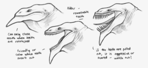 The Adder's Retractable Teeth #651650 The Adder's Retractable Teeth #651650