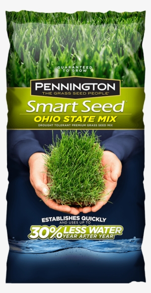 Addthis Sharing Buttons - Pennington 3 Lb. Tall Fescue Shade Grass Seed Pc Mix #653164