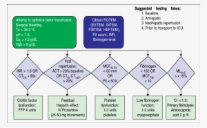 Ohio State University Liver Transplant Transfusion - Diagram #653473