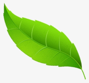 Request A Demo - Mint Leaf Transparent Png #653562