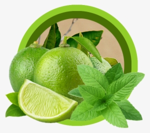 Banner Transparent Stock Luxury Shower Gel Best Selling - Shower Gel Bath Lemon #653662