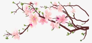 Cherry Blossom Png Transparent #653745