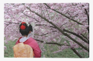 Geisha And Blooming Sakura Tree Canvas Print • Pixers® - Japanese Old Festival With Cherry Blossoms #654056