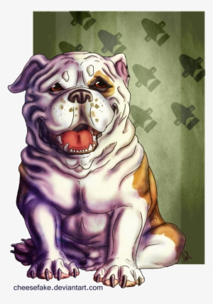 It´s Max From Pacific Rim - Olde English Bulldogge #654531