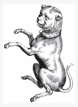 This Graphics Is A Strange Dog About - Constellation #654670