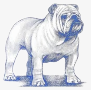 Breeder Referral The Illustrated Standard Of - West Coast Of The United States #654854