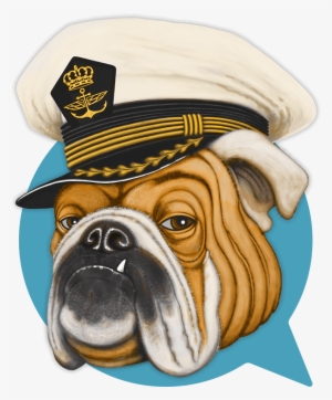 Bulldog And Partners - Dog #654874