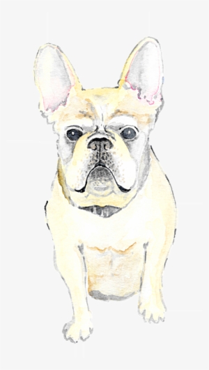 Pet Illustration #654901